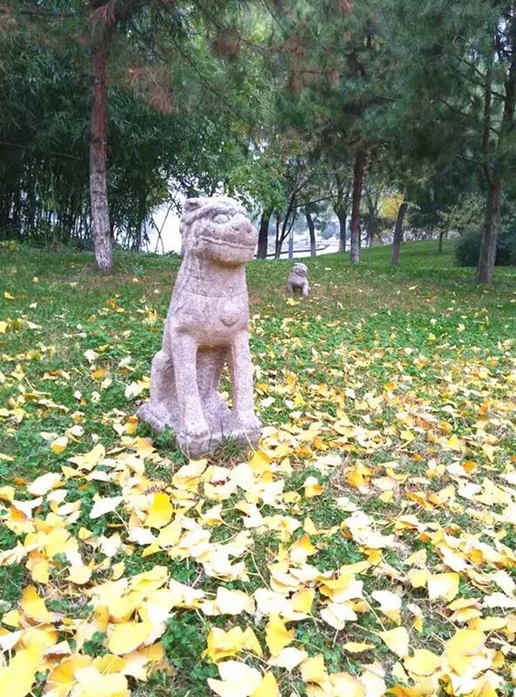 image026.jpg