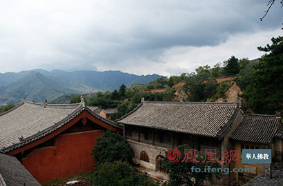 cf79cfc2220d1fe.jpg