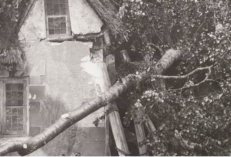 image050.jpg
