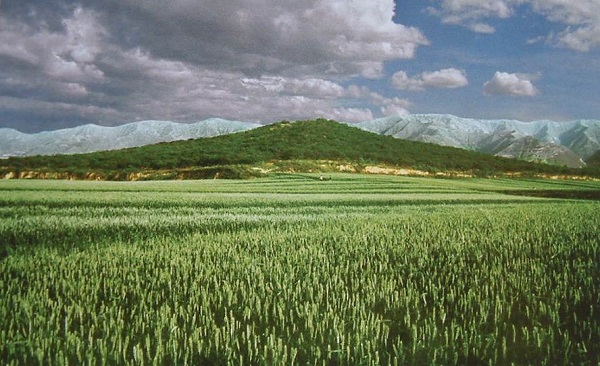 414.jpg 414.jpg