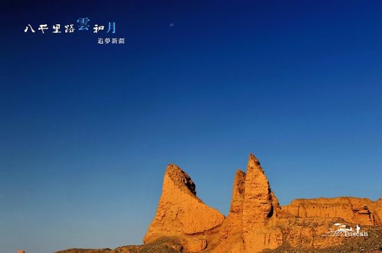 唯有废墟和野草 唯有废墟和野草