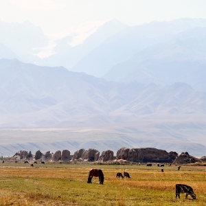 The Site of Korgon (Kyrgyzstan)