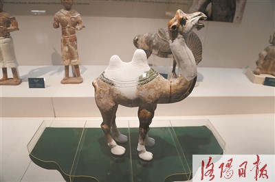 探塞上江南 访丝路重镇
