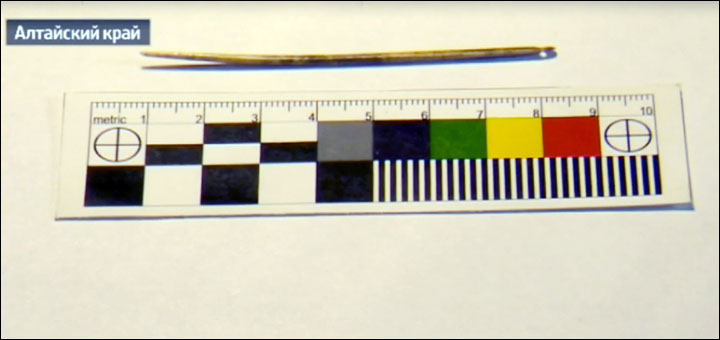 Denisovans needle