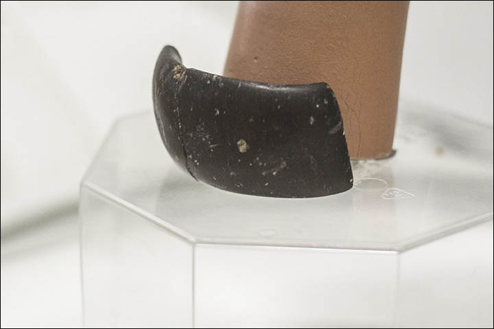 Denisovan bracelet