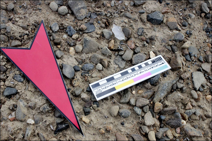 Arrowhead Arrowhead