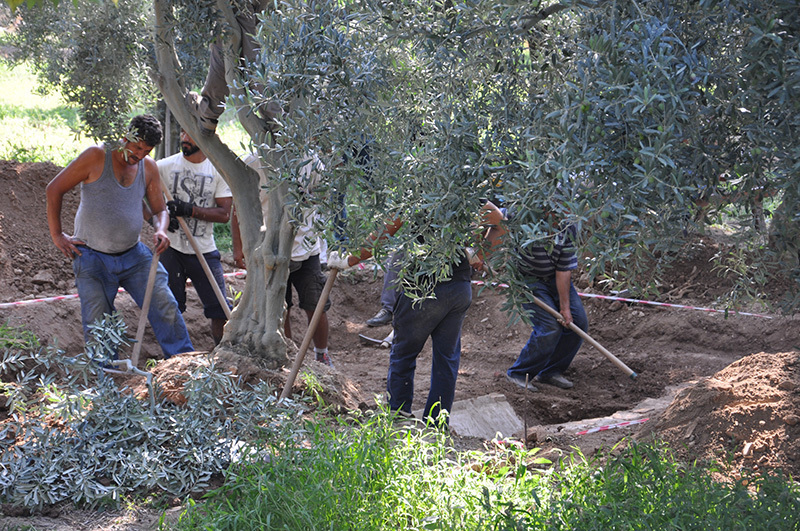 Police searching stolen vehicle finds 2nd century tomb in Bursa