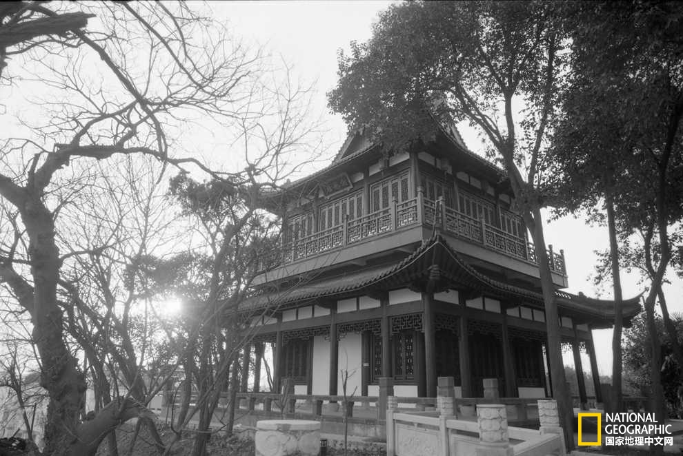 寻找李白|他从未老去,只是肉身已载不动精神