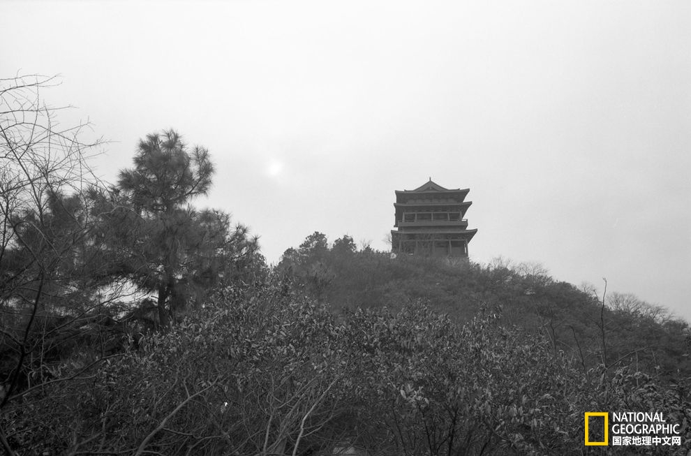 寻找李白|他从未老去,只是肉身已载不动精神