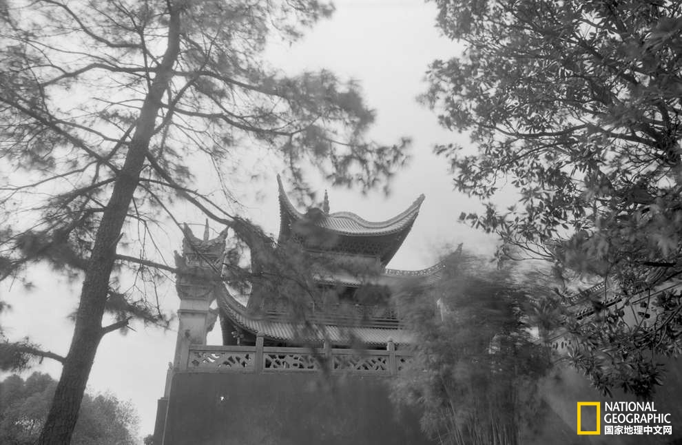 寻找李白|他从未老去,只是肉身已载不动精神