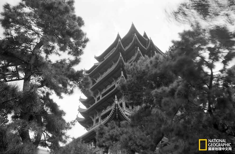寻找李白|他从未老去,只是肉身已载不动精神