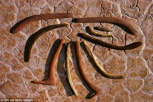 Their investigation revealed that this likely was the case; the team found that sharp club-like weapons known as ¿Lil-lils¿ and hooked fighting boomerangs called ¿Wonna¿ could have caused the injuries observed in Kaakutja. Various types of boomerangs are pictured