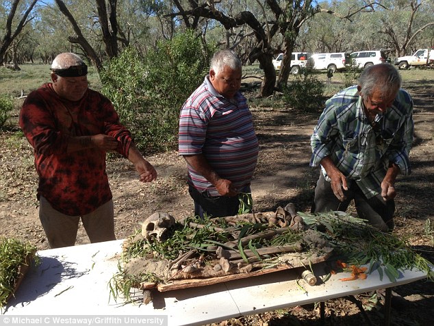 After its discovery in 2014 by William Bates, a member of the Baakantji, the skeleton was named ¿Kaakutja,¿ meaning ¿older brother.¿ Pictured above, three Barkindji men prepare the remains for reburial