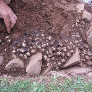 Roman bullets tell story of 1,800-year-old attack on Scottish fort