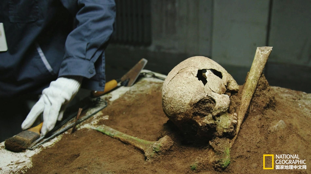 兵马俑研究新理论:兵马俑制作可能受到了外国艺术家的启发?