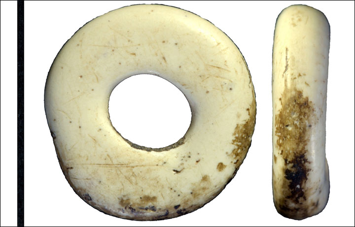 Paleolithic jewellery: still eye-catching after 50,000 years