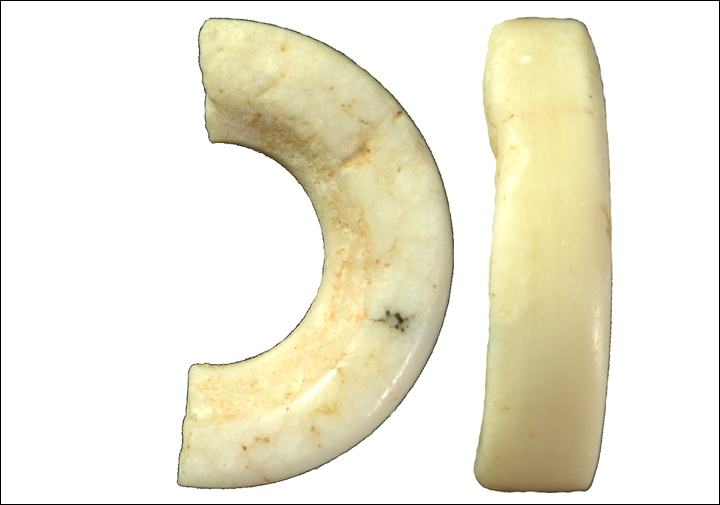 Paleolithic jewellery: still eye-catching after 50,000 years