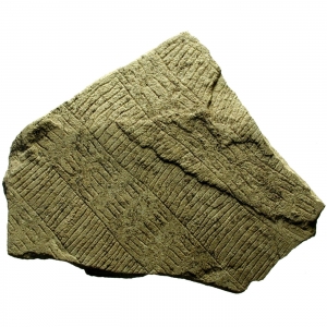 5,000-Year-Old Scratched Stones Could Be Ancient Maps