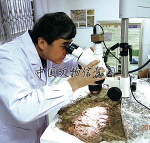 显微镜下观察冠饰清理出的痕迹现象.jpg