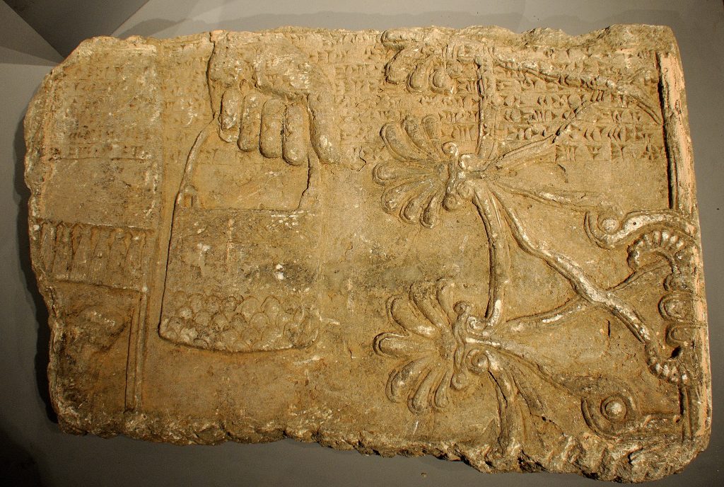 Gypsum wall relief from the North-West Palace of Ashurnasirpal II. This fragment shows a hand of an Apkallu (Sage) holding a bicket before branches of a sacred tree (the tree of life). Part of the "Standard Inscription" of Ashurnasirpal II also appears. This fragment was the only one among all other wall reliefs to undergo conservative work. It is on display within one the halls of the Museum. The Sulaymaniyah Museum, Iraqi Kurdistan. Photo © Osama S. M. Amin. 