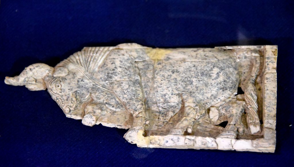 An ivory plaque depicting a standing/striding bull, heading to the left. Part of the so-called "Nimrud Ivories" which were excavated by Sir Max Mallowan between 1949-1963. From Nimrud, Mesopotamia, modern-day Iraq. Neo-Assyrian period, 911-612 BCE. NB: This museum displays only 3 Nimrud ivory plaques, the other 2 are not shown here; one plaque depicts a standing creature, having a ram's head and a human body and appears to wear the typical double crown of Egyptian pharaohs, while the other one is very worn and shows some body sitting among lotus flowers. All of these ivory plaques were originally housed in the Iraqi Museum at Baghdad. Erbil Civilization Museum, Iraqi Kurdistan. Exclusive photo, never-before-published. Photo © Osama S. M. Amin.