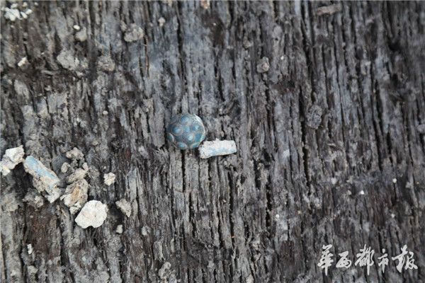 埃及玻璃饰品蜻蜓眼