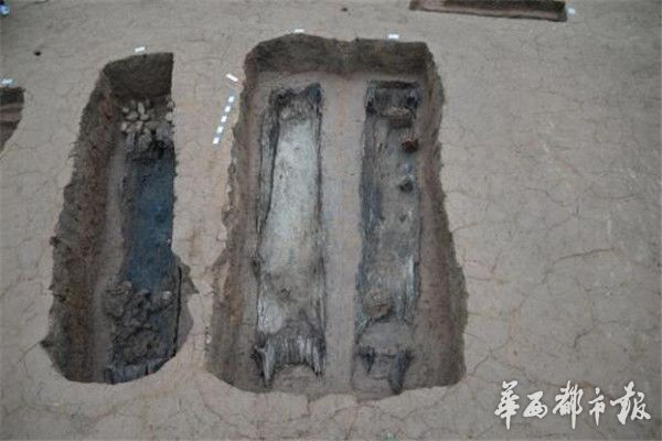 墓地以巴蜀土著文化为主，同时带有较浓厚的楚、秦文化。出土的11枚印章或圆或方，形状不一，直径1厘米，印有巴蜀图语。刘雨茂说，当时人将印章挂在腰部或者颈部位置。巴蜀图语至今仍是中国考古界一个未解之谜，有人认为其是古巴蜀地区的神秘文字，有人认为是军事、通讯标志。此次发现出现为进一步破解巴蜀图语，提供了珍贵资料。
