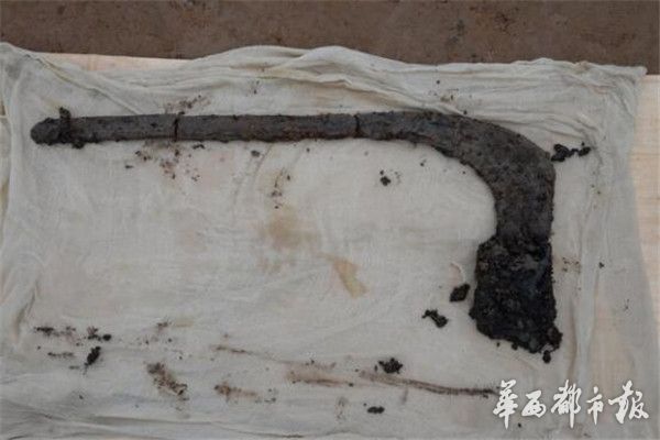 蒲江为丝绸之路重要节点，蜻蜓眼的出现进一步说明了当时与国外区域存在着文化交流。