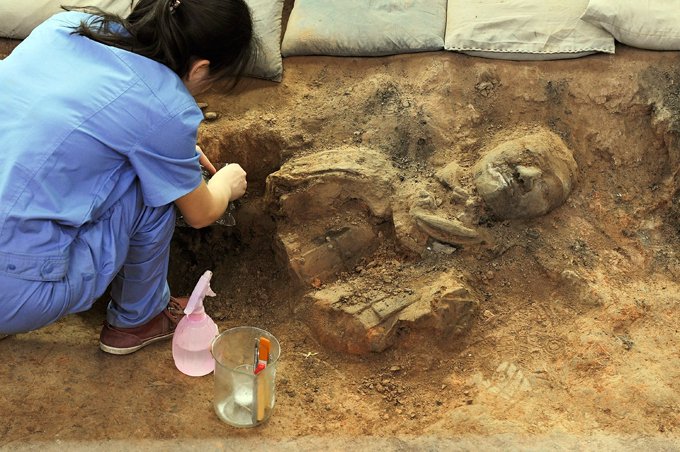 В Китае археологи обнаружили 2000-летние семена растений в древней гробнице