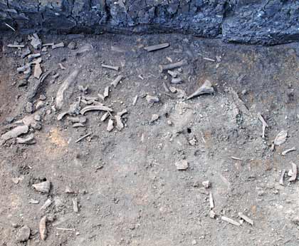 A photo of an Anglo-Saxon coin found by archaeologists at an excavation site in Louth