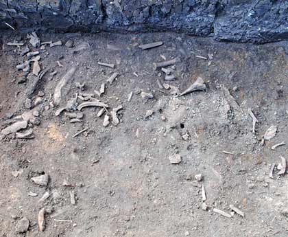 A photo of an Anglo-Saxon coin found by archaeologists at an excavation site in Louth