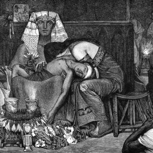 The Science of the 10 Plagues