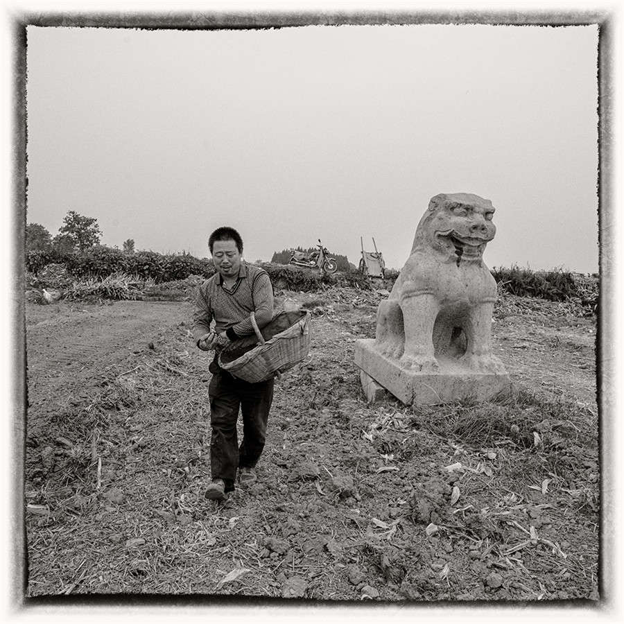 Tang Dynasty imperial mausoleums captured on film