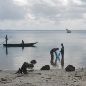 Early Indian Ocean trade routes bring chicken, black rat to eastern Africa