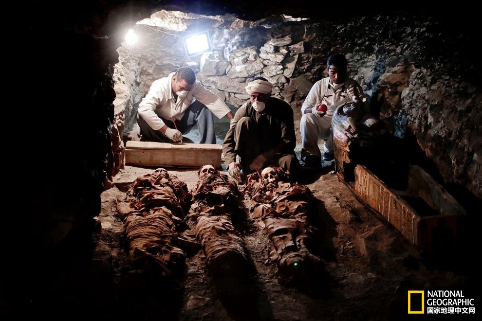 埃及新发现:3500年前御用金匠古墓