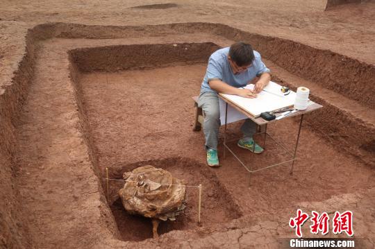 图片版权归原作者所有