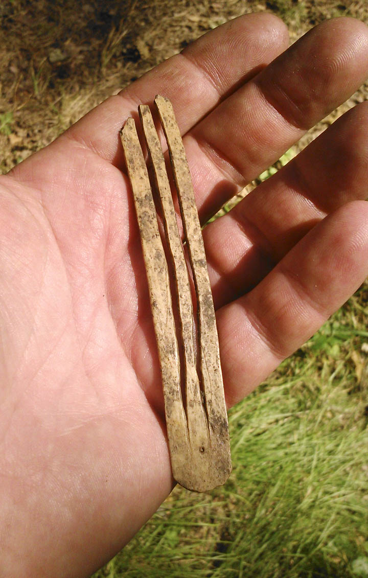Ancient harp Ancient harp