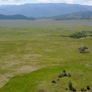 Swiss archaeologist discovers the earliest tomb of a Scythian prince
