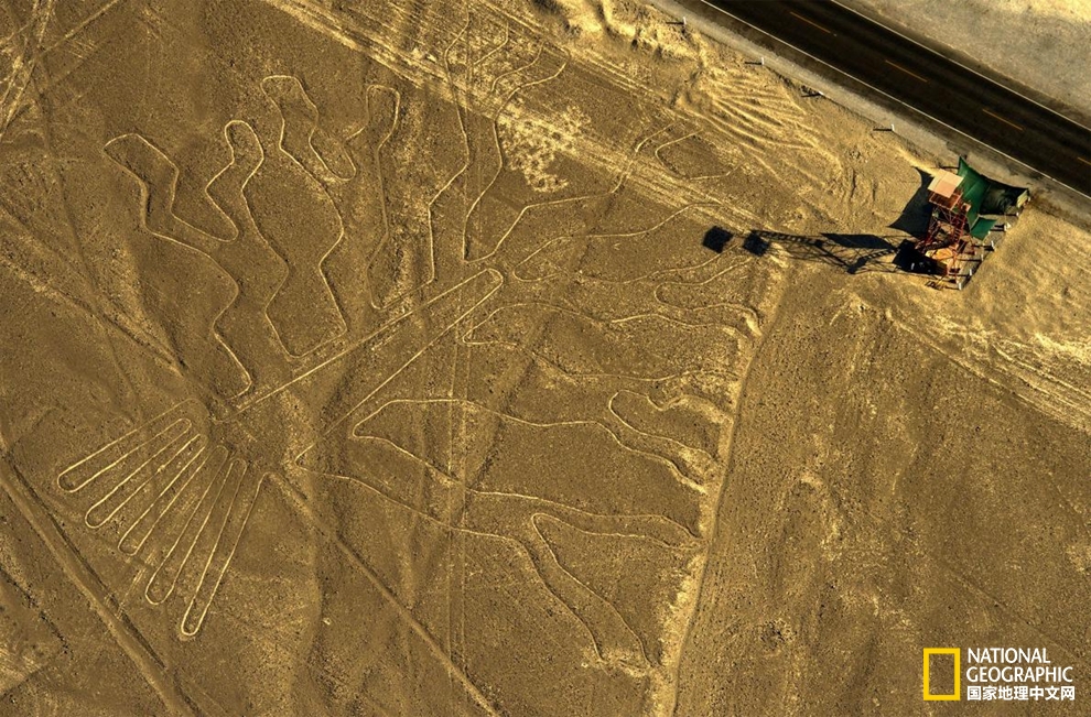 痛心疾首！重要世界文化遗产纳斯卡地画遭秘鲁卡车司机碾压