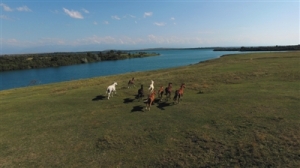 ϲ˺ַSites of the southern Issyk Kul