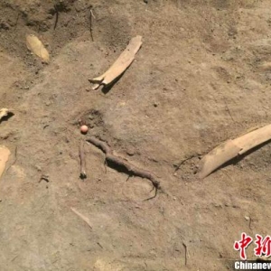 新疆吉木萨尔县北庭故城遗址考古发掘发现唐代文物