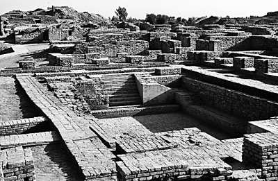 图片版权归原作者所有