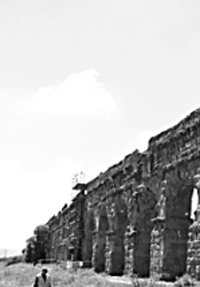 图片版权归原作者所有