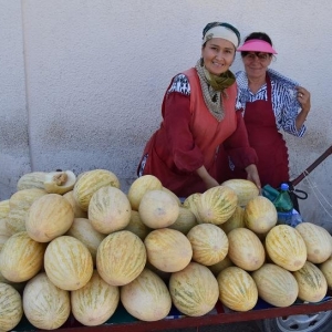 Origins and spread of Eurasian fruits traced to the ancient Silk Road