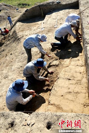 发掘现场。陕西省考古研究院 供图