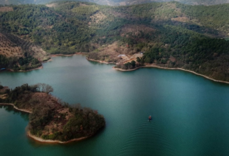 图片版权归原作者所有