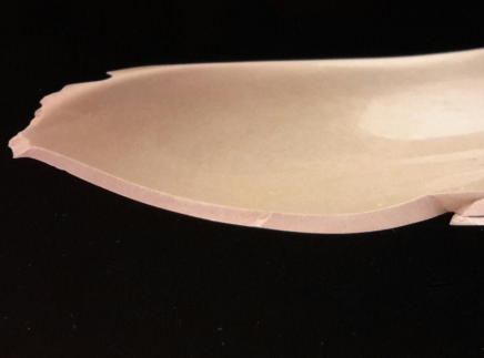 图片版权归原作者所有