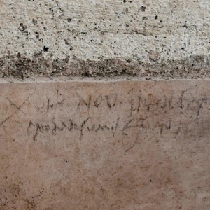 Pompeii Graffiti May Rewrite Time Line of Vesuvius Eruption
