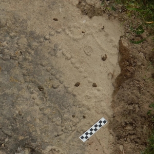 4,000-Year-Old Game Board Carved into the Earth Shows How Nomads Had Fun