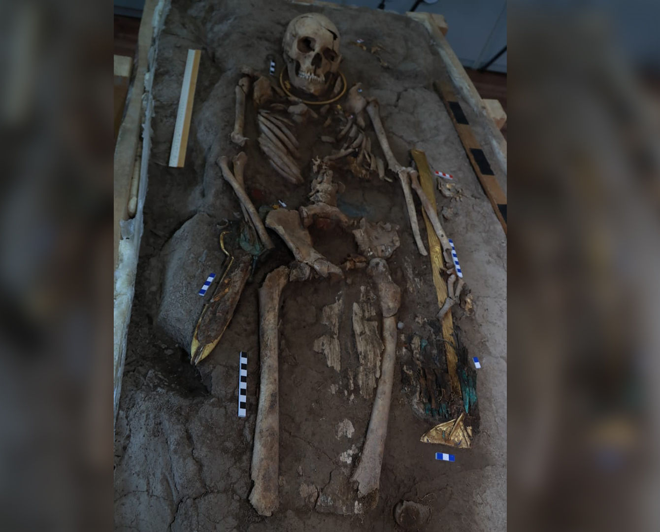 one more "golden man" excavated by kazakhstan archaeologists